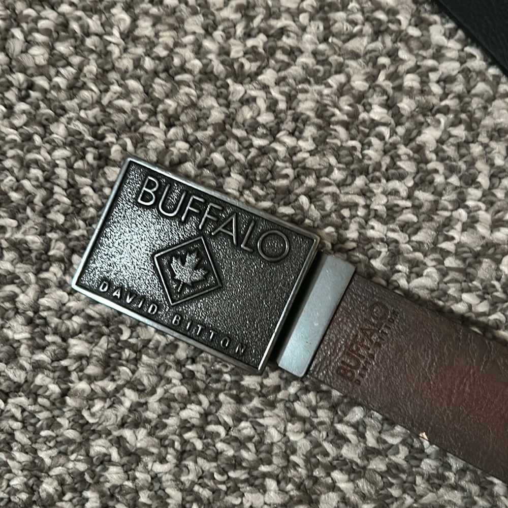 Buffalo David Bitton Belt